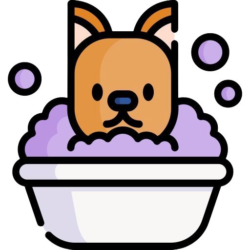 Gato tomando banho
